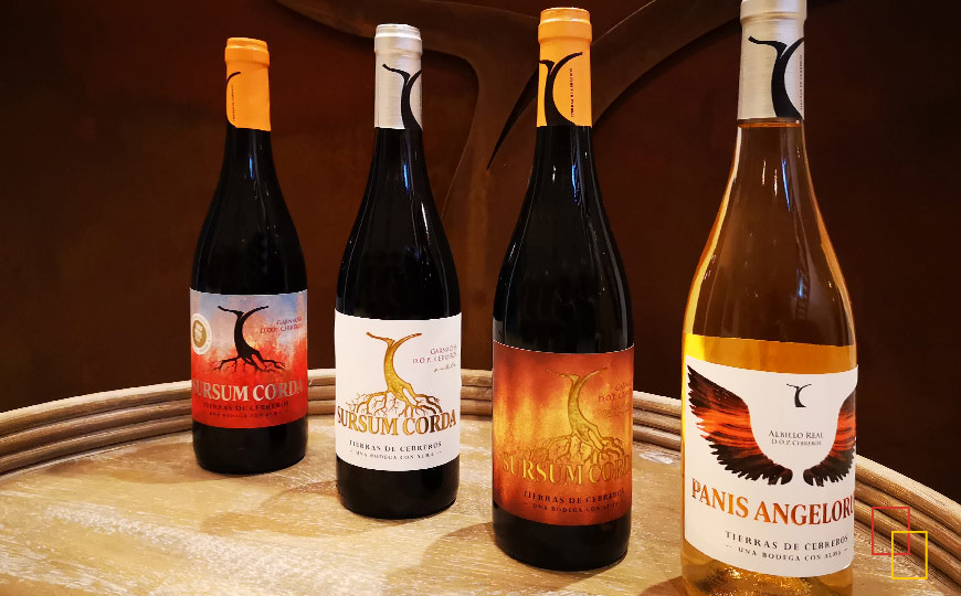 Vinos Sursum Corda y Panis Angelorum