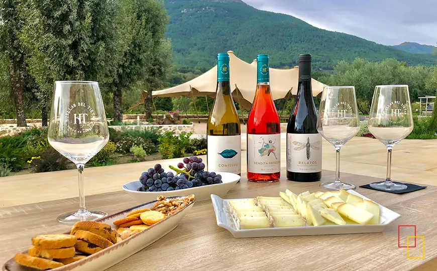 Visita guiada a Huellas del Tiétar con copa de vino y montaña al fondo en Lanzahíta