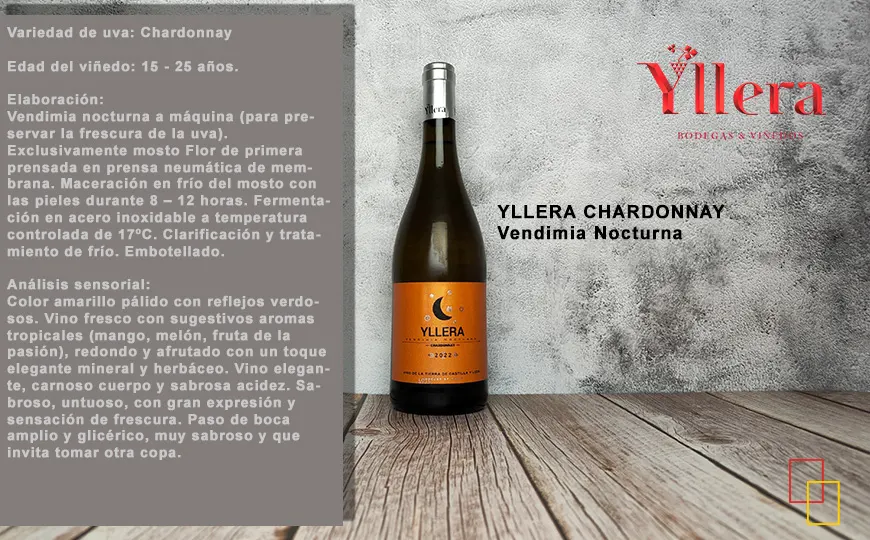 Yllera Chardonnay Vendimia Nocturna