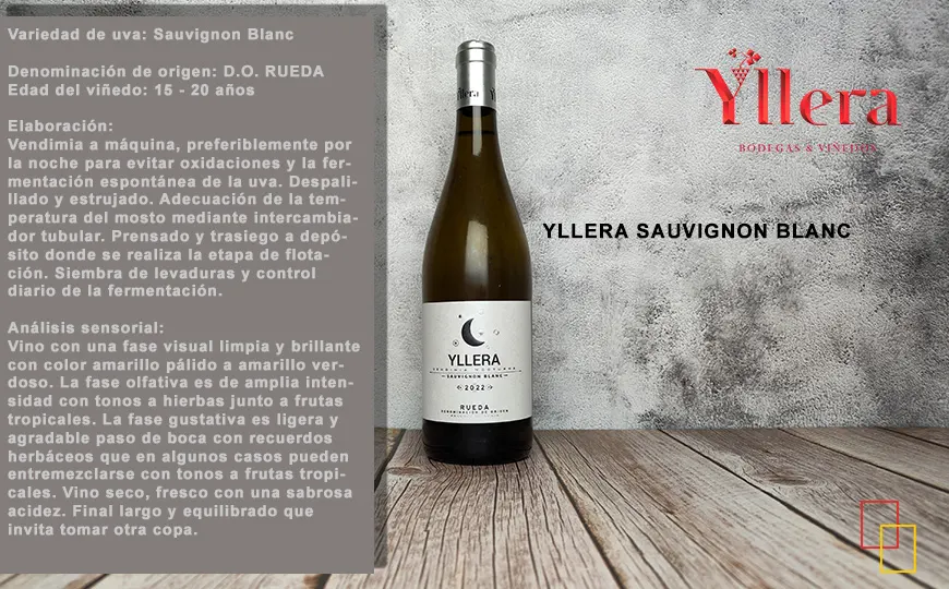 Yllera Sauvignon Blanc Vendimia Nocturna
