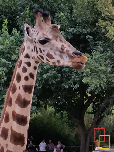 Zoo Aquarium de Madrid