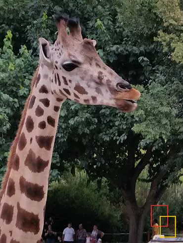 Zoo Aquarium de Madrid
